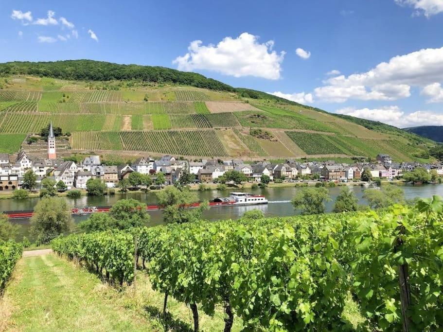 Ferienhaus Schwanennest Zell an der Mosel Esterno foto